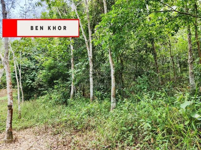 Hilly Land | Agricultural Land | Pengkalan Hulu | PERAK 1