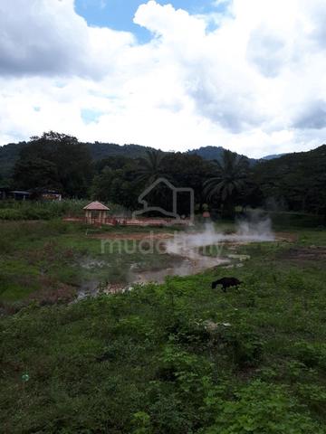 Agricultural Land For Sale At Sg Riam Batang Padang Slim River Perak 1