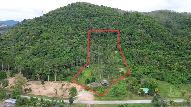 [OPEN TITLE] 3 acre Land with Durian Trees at Malau Kubang Pasu Kedah 1
