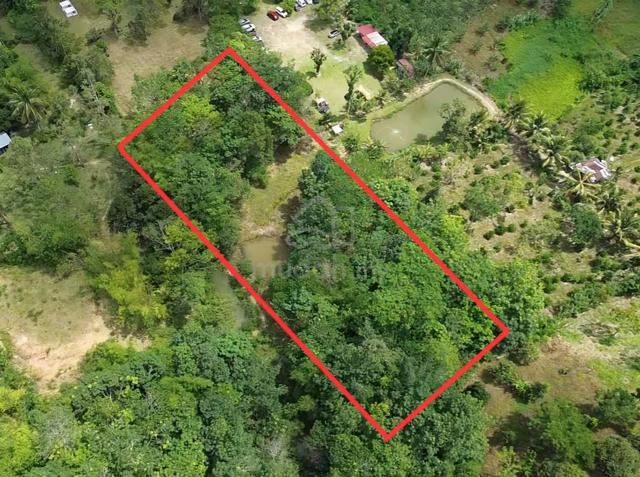 (WOW! SUNGAI 100M DARI TANAH!) Tanah Pertanian, Janda Baik, Pahang 5