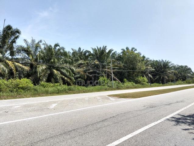 Tepi Jalan Geran Individu Freehold Kuala Selangor Tanjong Karang 1