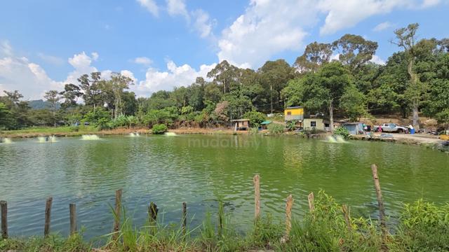 Agriculture Land For Sale Near Ampang (Q5152) 1