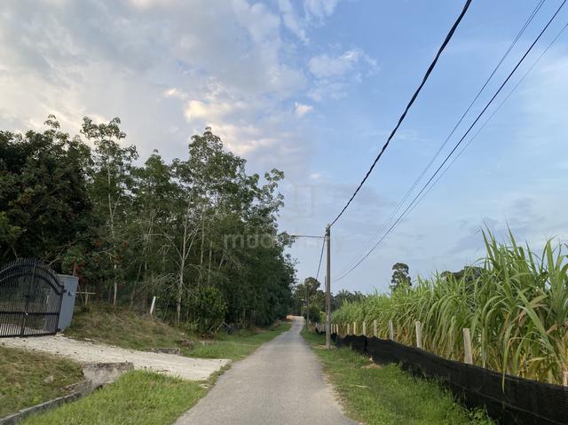 Tanah Freehold MCL di Mukim Lendu Melaka 1