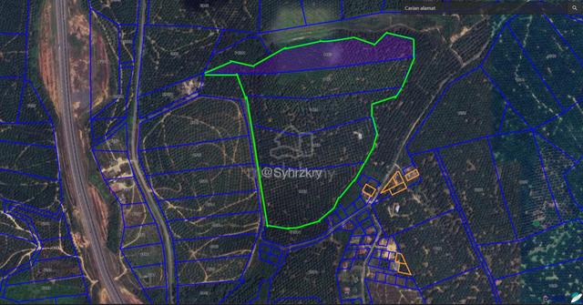 Tanah Sawit 250 Ekar Ajil 1
