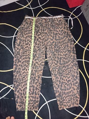 Carousel Image Selected
