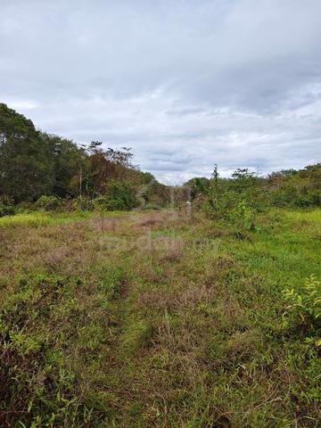 Tanah Lot Balik Pulau Untuk Dijual 1
