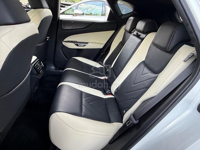 2023 Lexus NX250 2.5 LUXURY P/ROOF M/LEVISON HUD - 3