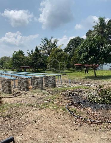 Tanah kebun untuk disewa 1