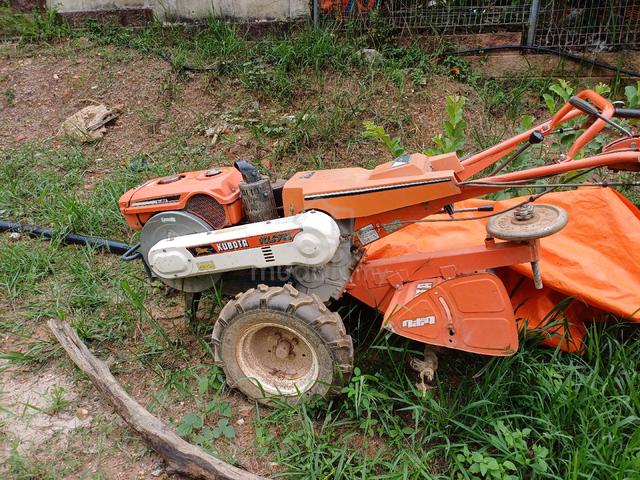 Carousel Image Selected