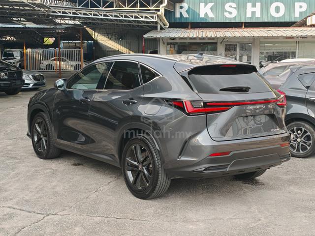 2022 Lexus NX 250 2.5 LUXURY (A) Grade 5A, 17K KM - 2
