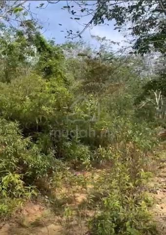 [MURAH, LADANG GETAH] Rembau, Freehold, Rizab Melayu, Tanaman Getah 4