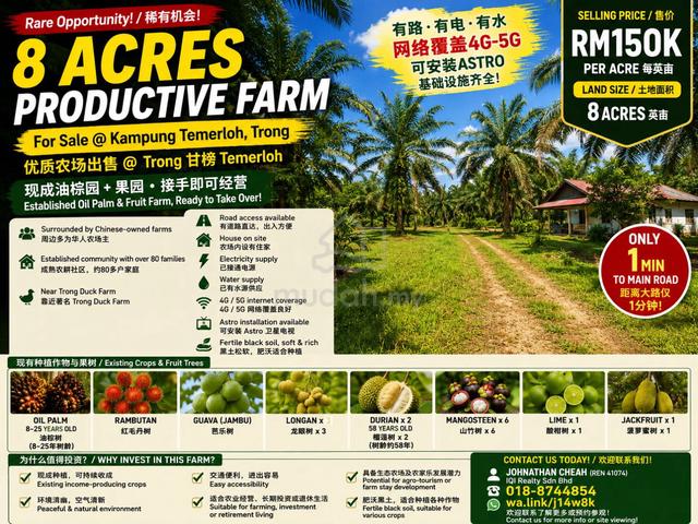 Freehold 8 Acres Productive Farm For Sale @ Kampung Temerloh, Trong 1