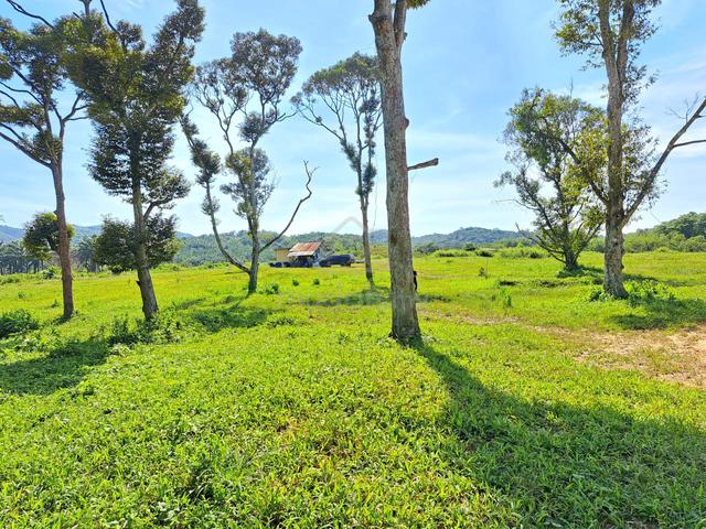 [162 acres] Vacant Land Kerling Hulu Selangor 50 acres is Durian trees 1