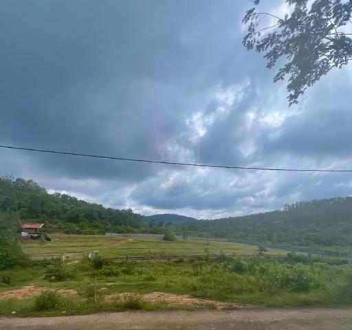 Tanah ladang untuk disewa, tanah siap dibersihkan. 4