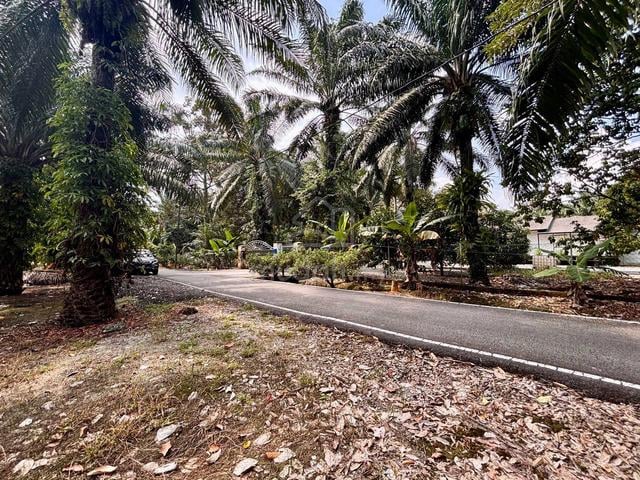 Sungai Durian Serkat Tanah Pertanian Kawasan Kampung [ 2Min Masjid ] 1