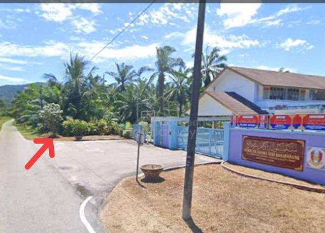 Agriculture Land For Sale 出售农业地 1