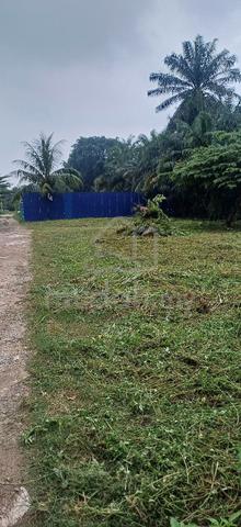 Tanah Pertanian di Pekan Meru, Klang 1