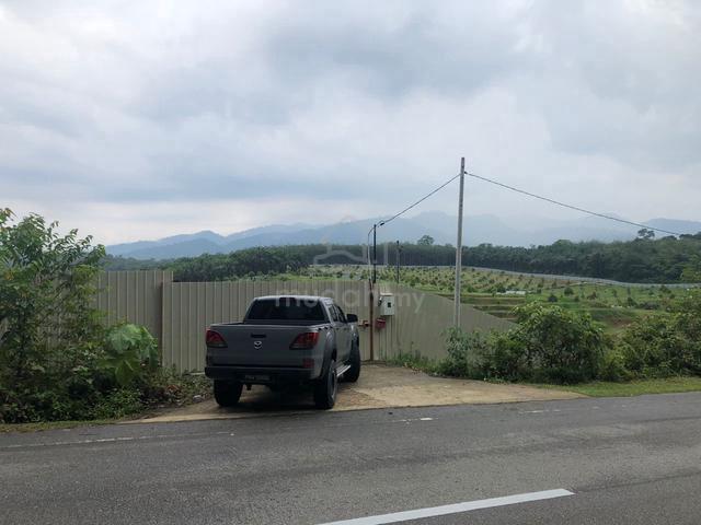 Perak Selama Agricultural Freehold Land For Sale 1