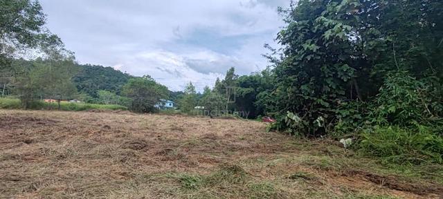 Low Density Residential Land Putatan 1