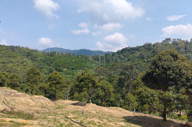 Jual Tanah Pertanian 4.5 Ekar 📍 Terachi, Kuala Pilah 1