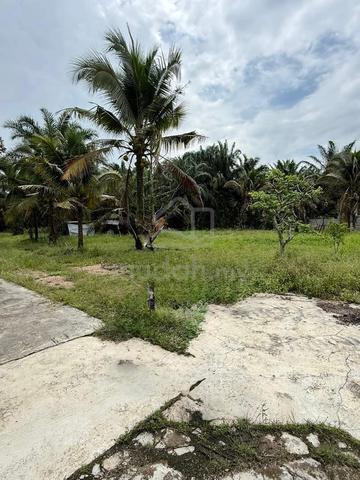 4.5acres Pekan Nanas Rectangle shape Oil palm farm 1