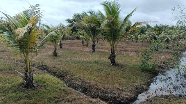 Kuala Penyu Beachfront Agriculture Land Cl Title for sale 1