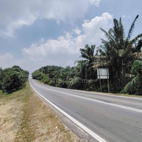 7 Acres Agriculture Land @ Kampung Roscote, Seelong, Senai, Johor 1