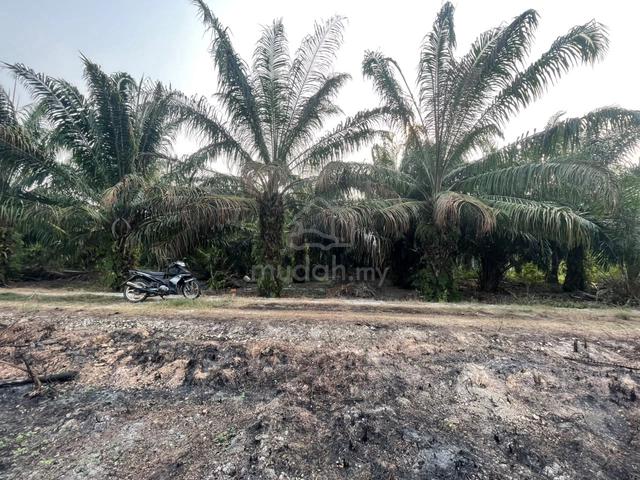Kapar sungai serdang,0.25 acre agri land ,individual title 1