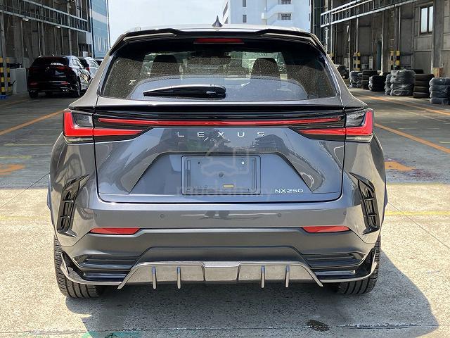 2022 Lexus NX 250 2.5 BASE MODEL (A) - 4