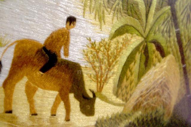Carousel Image