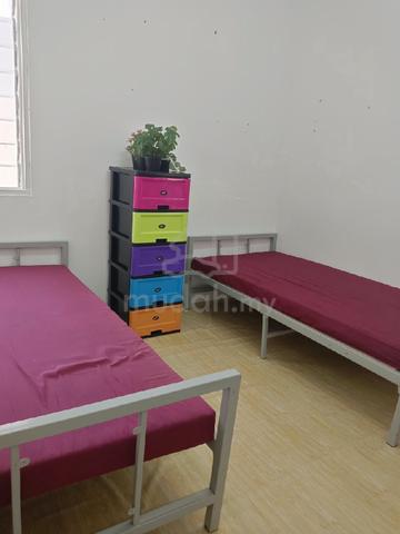 Bilik Sewa Perlis - Beseri Lelaki 1