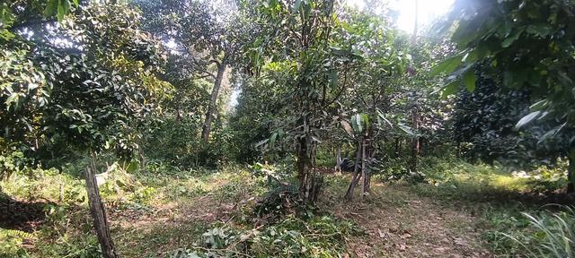 Tanah Di Lenggeng untuk dijual 1