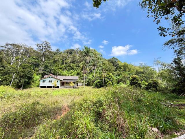 Tanah Pertanian Janda Baik Ulu Cheringing Bentong Pahang For Sale 1