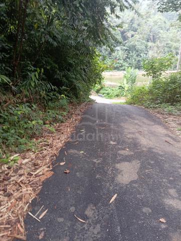 Tanah pertanian Kuala pilah negeri sembilan 1