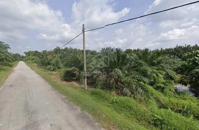 PALING MURAH, Tanah Pertanian, Bagan Nira, Sabak Bernam, Selangor 1