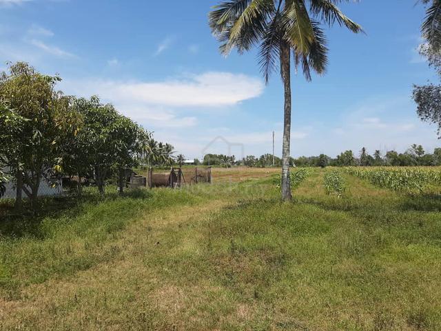 tanah plot banglo semerak tok bali pasir Puteh 1