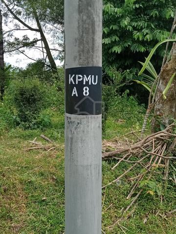 Tanah Pertanian 3.3 Ekar atas Bukit di Tanjung Ipoh, Kuala Pilah 3