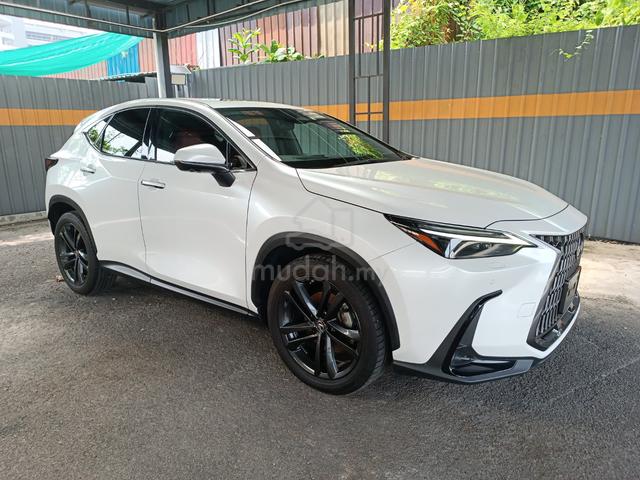 2023 Lexus NX 250 2.5 LUXURY (A) - 1