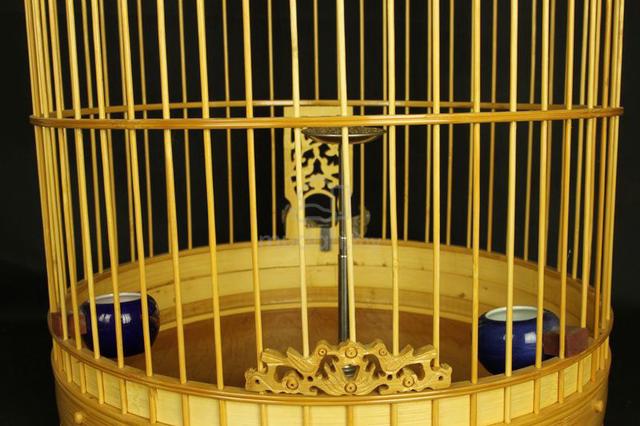 Carousel Image