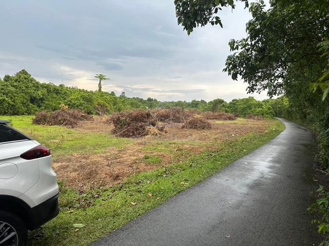 Terengganu Hulu Terengganu Freehold Land For Sale 1