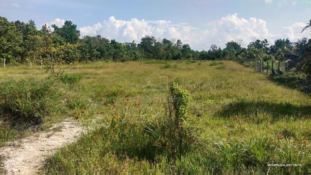 Tanah Pertanian 1ekar di RTK Sri Damai, Kuantan 5