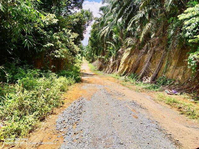 HUGE POTENTIAL 4 Acres Private Land Sg. Merab Dengkil Freehold 1