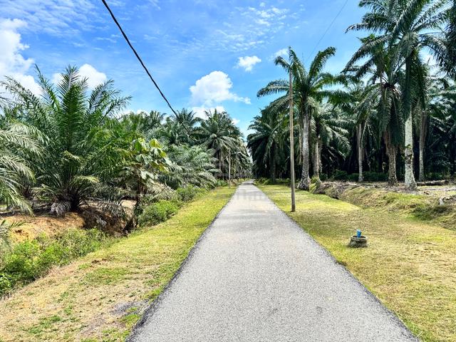 Freehold Agriculture Land For Sale At Pasir Panjang,Port Dickson,N.S 1