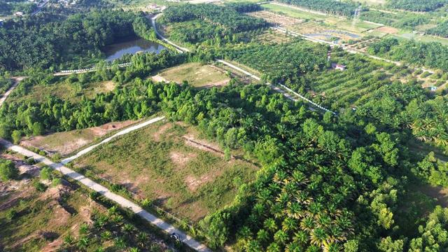 Gopeng Ipoh Nice Freehold Agriculture Land Normal Car Can Access 1