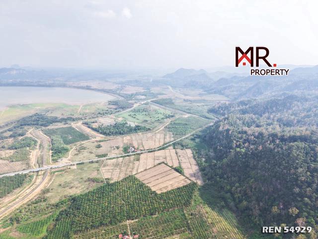 FACING ROAD Oil Palm 1st Grade Land Kaki Bukit Perlis FOR SALE 1