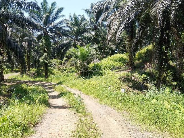 Tungku, Lahad Datu, Sabah. 1