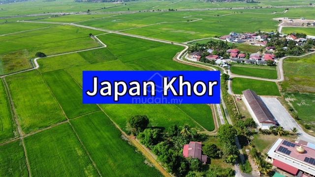 Land for sale in Seberang Perai Utara (SPU),Penang.land size 4.87acres 1