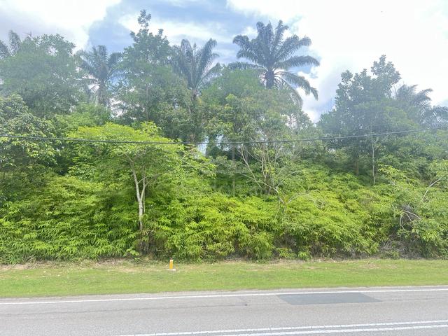 [FREEHOLD&TEPI JALAN]Kebun Sawit 1.05ekar, Ayer Panas Jasin Utk Dijual 1