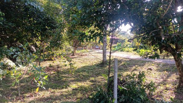252 Tanah Tepi Jalan 26,000sqft Di Kampar 1