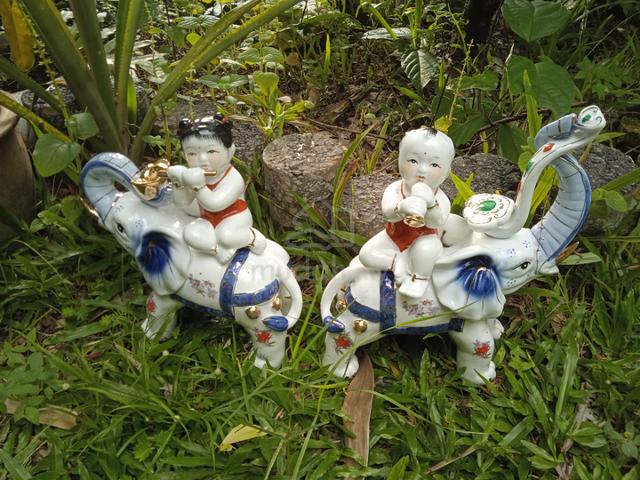 Carousel Image